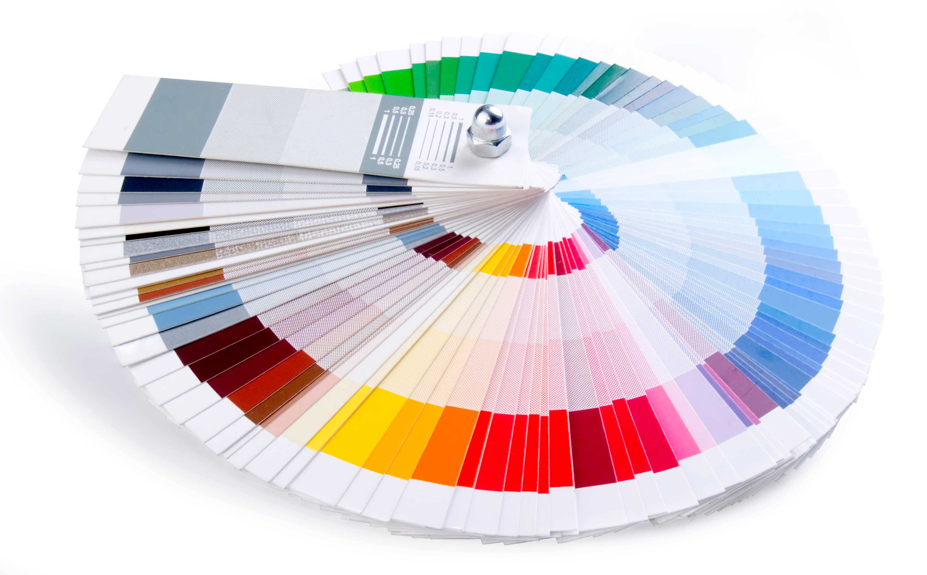 color palette